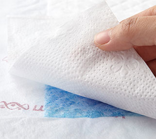 衛生護理產褥墊(5入/包)
衛生護理產褥墊(5入/包)