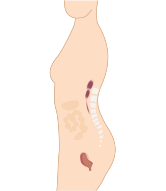 束腹帶 推薦 產後瘦身 剖腹產 全彈力按摩收腹帶 束腹帶 推薦 產後瘦身 剖腹產 竹炭加強型束腹腰夾